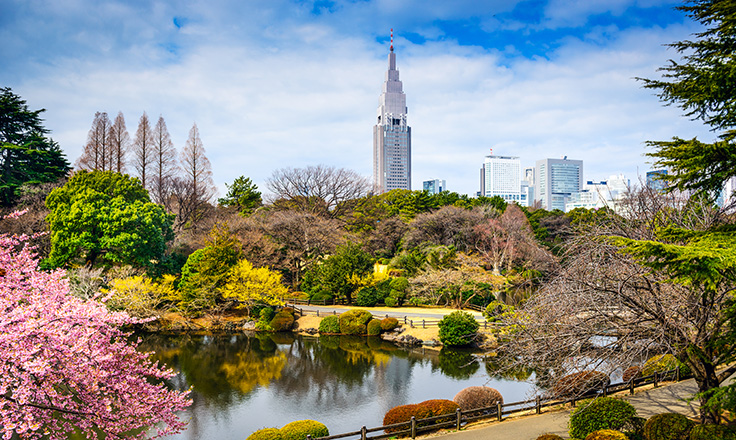 Explore Autonomous Networks and AI Solutions with Comarch at Interop Tokyo 2025